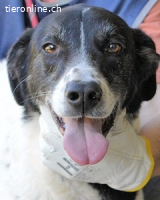 Lorianne - Diplomierte Zuhörerin sucht Sofa & Sonne