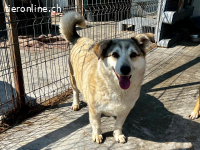 Lotti- möchte einfach nur geliebt werden