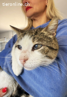 Lounis (10 Monate) - Kleiner Charmeur sucht dich