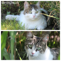 Lovely und Piccolina – doppeltes Glück sucht dich