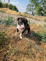 Lucy – klein, stark & voller Lebensfreude