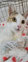 Lulu (11 Monate)  möchte geliebt werden