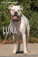 Luna, eine liebenswerte Dame!