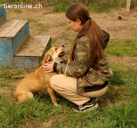 Luna - liebe und fröhliche Hündin
