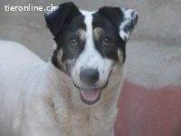 Luna Marlene ist perfekt