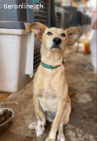 Luna sucht Traum-Zuhause