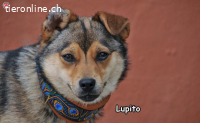 LUPITO