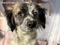 Maggie - vor einer Woche bin ich in Deutschland angekommen