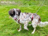 Maggie - vor einer Woche bin ich in Deutschland angekommen