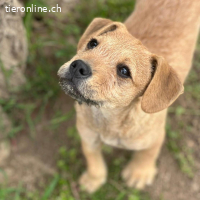 Malani - bereit, sein Herz zu verschenken