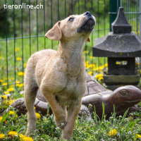 Malani - bereit, sein Herz zu verschenken