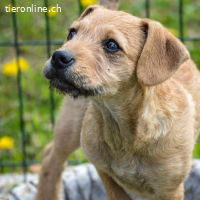 Malani - bereit, sein Herz zu verschenken