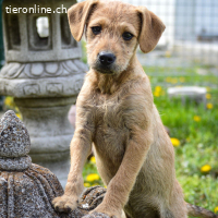 Malani - bereit, sein Herz zu verschenken