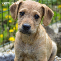 Malani - bereit, sein Herz zu verschenken