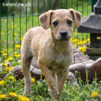 Malani - bereit, sein Herz zu verschenken