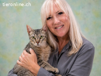 Manel, ein Schmusekaterchen