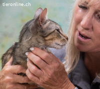 Manel, ein Schmusekaterchen