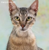 Manel, jung und verspielt