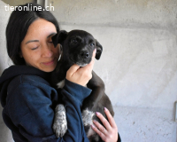 Marisca - Es soll DEIN Leben werden