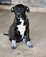 Marisca - Es soll DEIN Leben werden