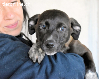 Marisca - Es soll DEIN Leben werden