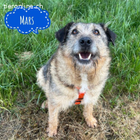 Mars der allerliebste Schatz