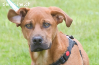 Matheo - will die Welt entdecken