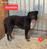 Mathilda wünscht sich Liebe