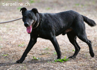 Matteus, ein Seelchen