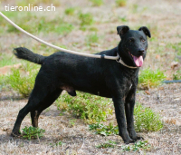 Matteus, ein Seelchen