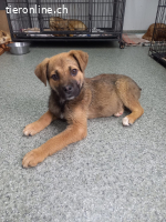 Matti von Müll ins Glück, er möchte gerne ankommen