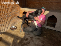 Matze, ich möchte spielen und die Welt kennen lernen