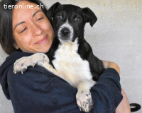 Mavette - Es soll DEIN Leben werden