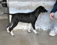 Mavette - Es soll DEIN Leben werden