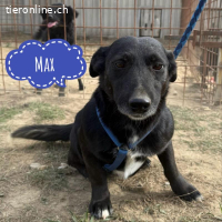 Max ein kleiner Schatz