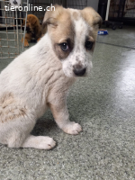 Mayliya, kleiner Schatz sucht ihr Glück