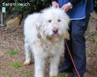 Menodoro - Einfach groß(artig)!