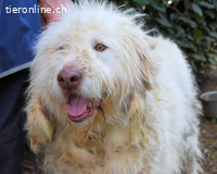 Menodoro - Einfach groß(artig)!