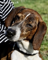 Mia - aussortiert - und niemand hat ihr je erklärt, warum...