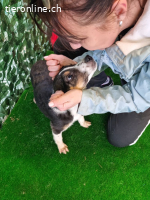 Mia – zart, verspielt und bereit für ein Leben voller Liebe