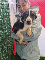 Mia – zart, verspielt und bereit für ein Leben voller Liebe