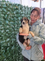 Mia – zart, verspielt und bereit für ein Leben voller Liebe