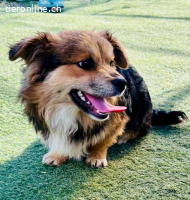 Mini Mäuschen Stella