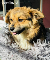 Mini Mäuschen Stella