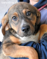 Mirtos - Es soll DEIN Leben werden