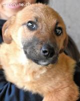 Mivelle - Es soll DEIN Leben werden