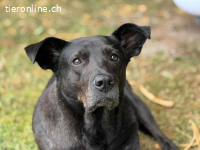 Mogli - herziger Bub mit Handicap