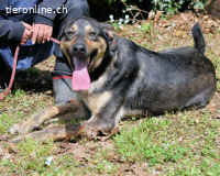 Montego - Sonne im Bauch und....