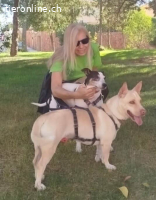 Naiara, w./kastr., geb. 11.12.2020, Größe: 40 cm/12 kg