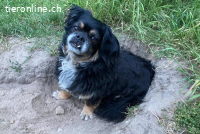 Nannos (11 Jahre) Charme muss man einfach erliegen!